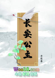 长安公主的小说